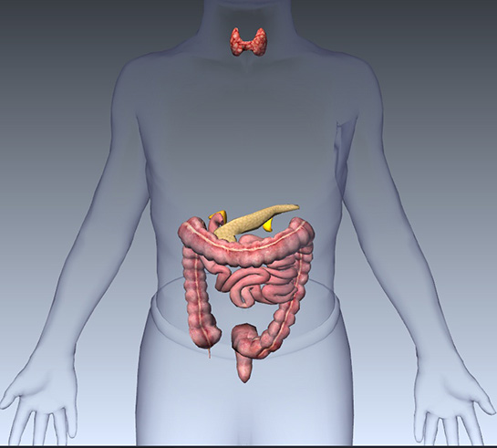 Nöroendokrin Tümör Belirtileri ve Tedavisi