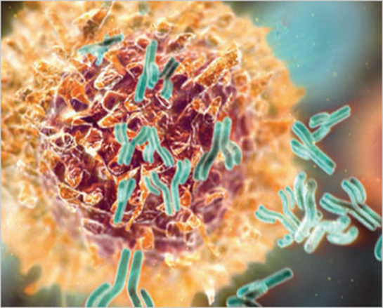 Tümör Lizis Sendromu